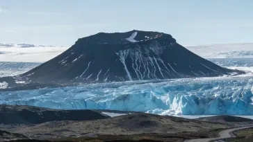 Trivia 101: Can You Pass This Starter Quiz For Newbies?